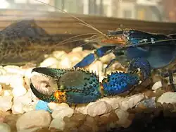 alternativní popis obrázku chybí