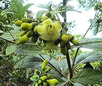 alternativní popis obrázku chybí