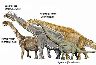 alternativní popis obrázku chybí