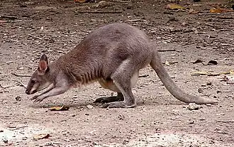 alternativní popis obrázku chybí