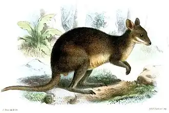 alternativní popis obrázku chybí