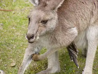 alternativní popis obrázku chybí