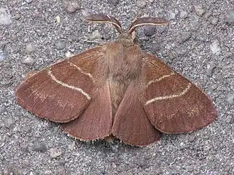 alternativní popis obrázku chybí