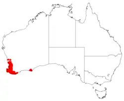 Areál rozšíření