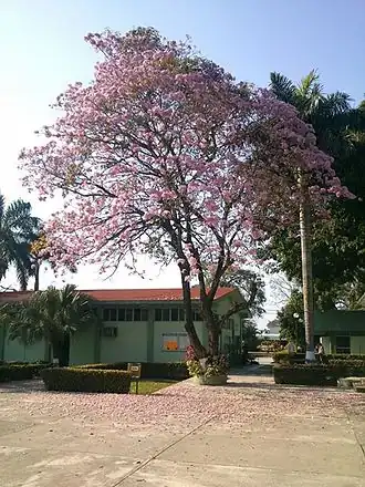 alternativní popis obrázku chybí