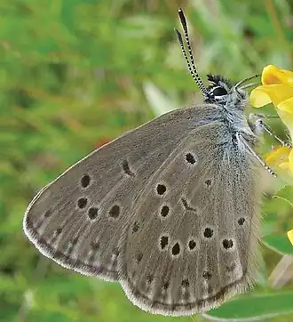 alternativní popis obrázku chybí