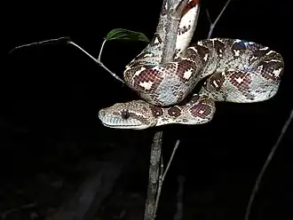 alternativní popis obrázku chybí