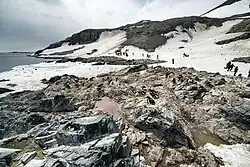 Pobřeží Joinvilleova ostrova