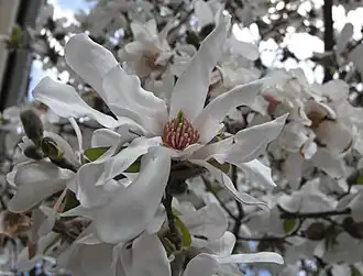 alternativní popis obrázku chybí