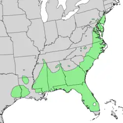 Areál rozšíření