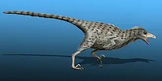 alternativní popis obrázku chybí