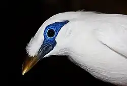 Majna Rothschildova v Zoo Praha