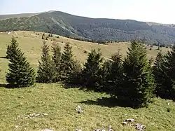 Bystrická dolina, Malá Krížna