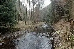 Nad soutokem s Velkou Libavou