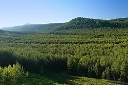 Malý Borný a Hradčanská pahorkatina z Havířského vrchu, vlevo vzadu vrch Dub