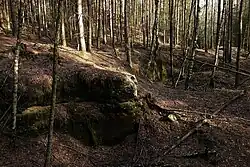 Západní svah Malého Radechova