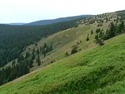 Pohled do Malé kotliny od severu