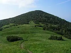 Malá kopa z Predúvratie