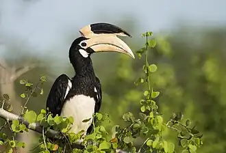 alternativní popis obrázku chybí