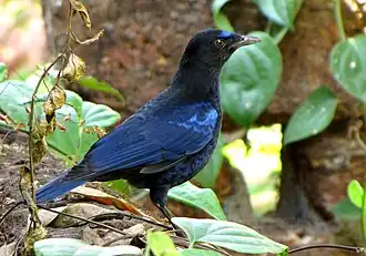 alternativní popis obrázku chybí