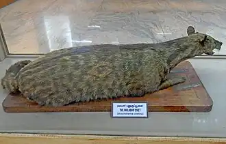 alternativní popis obrázku chybí