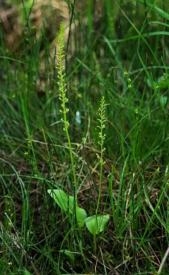 alternativní popis obrázku chybí