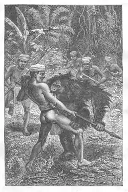 Útok orangutana na kresbě z roku 1869