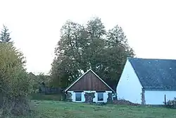 Malečská lípa za čp. 20