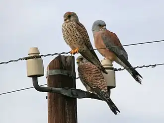 alternativní popis obrázku chybí