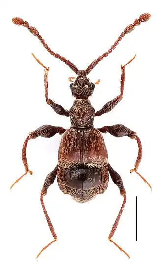 alternativní popis obrázku chybí