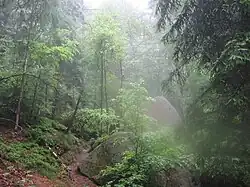 Romantická Malířská cesta mezi skalami v Saském Švýcarsku