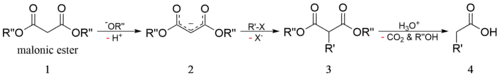 Malonesterová syntéza