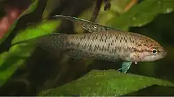 alternativní popis obrázku chybí