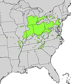 Areál rozšíření