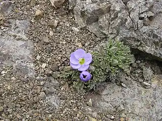 alternativní popis obrázku chybí