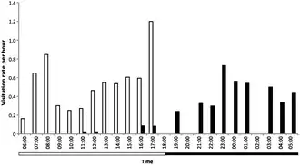 Bílé sloupce znázorňují návštěvy tany horské, černé Rattus baluensis. Lišta pod obrázkem znázorňuje denní dobu.