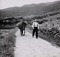 Muž s nákladním oslíkem