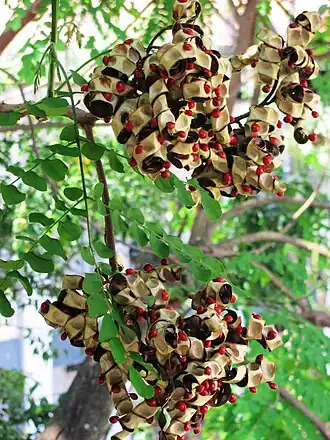 alternativní popis obrázku chybí