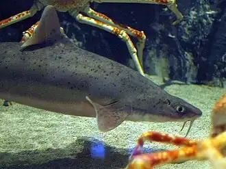 alternativní popis obrázku chybí