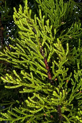 alternativní popis obrázku chybí