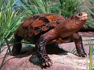 popis obrázku chybí