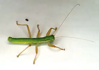 alternativní popis obrázku chybí