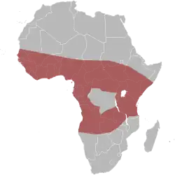 Areál rozšíření