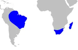 Areál rozšíření