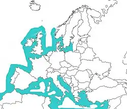 Areál rozšíření