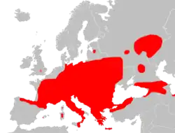 Areál rozšíření