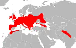 Areál rozšíření