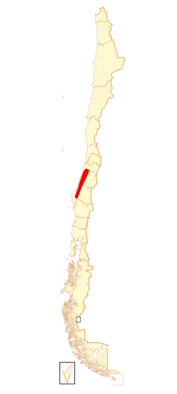 Rozšíření nosatky rezavé