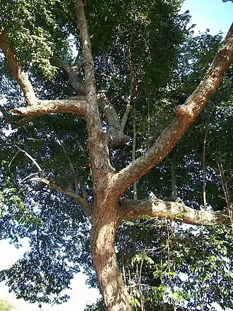 alternativní popis obrázku chybí