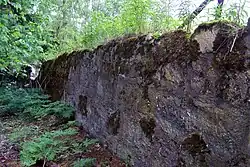 Pozůstatek kláštera